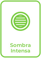 Sombra intensa