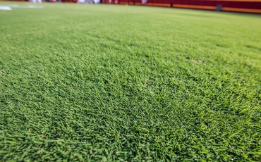 None Gramado esportivo com a variedade NorthBridge