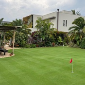 Campo de grama verde bem nivelado em jardim residencial com palmeiras, pergolado de madeira, mesa externa e casa moderna ao fundo sob céu nublado.