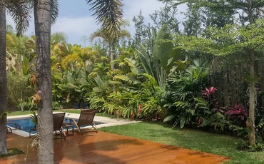 Gramado sendo visto ao lado de piscina com várias plantas ao redor
