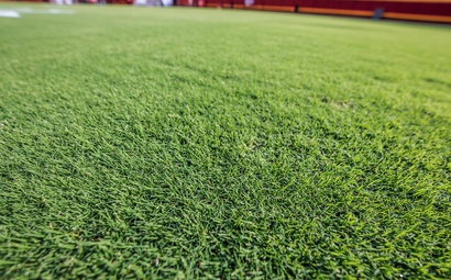 Gramado esportivo com a variedade NorthBridge