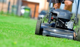 Saiba como podar corretamente o seu gramado