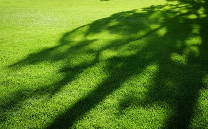 Jardim com grama São Carlos Plus
