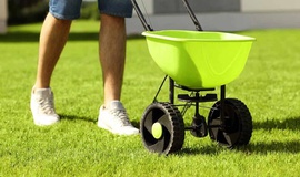 Saiba como adubar corretamente o seu gramado
