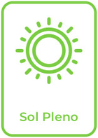 Sol pleno