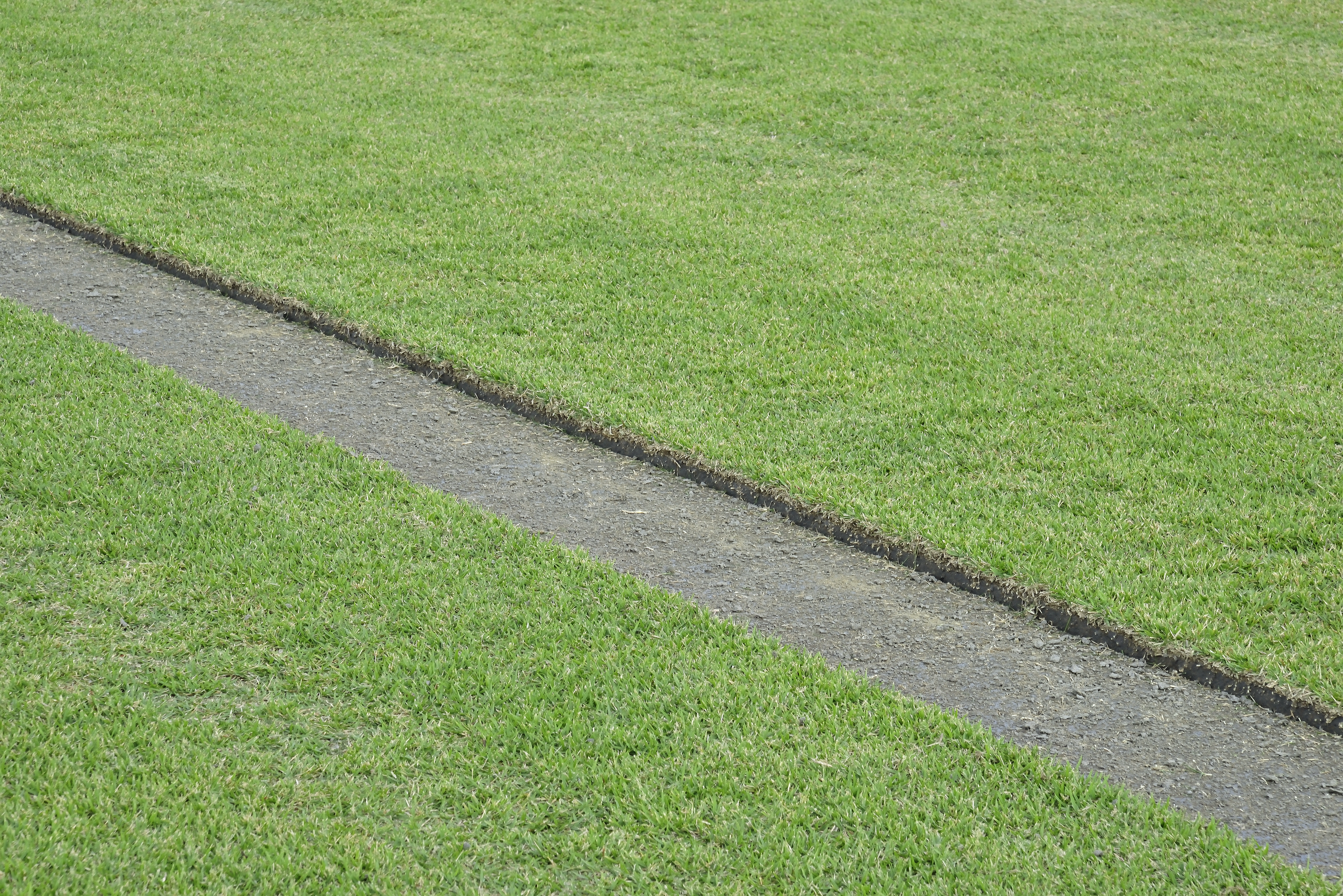 Grama Esmeralda Itograss em caminho