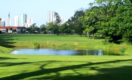 Grama ideal para resorts e campos de golf - Caxangá Golf Country Club