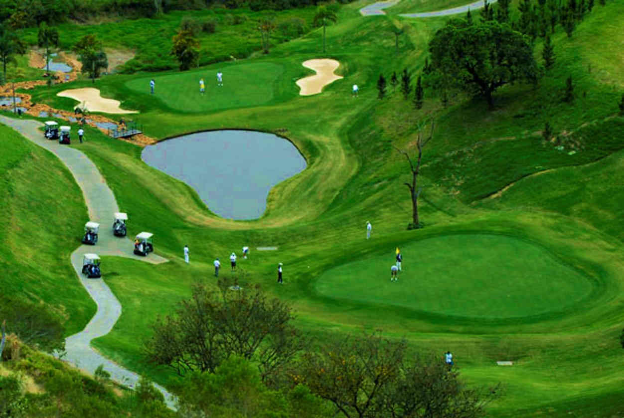 Grama ideal para Resort e campos de golf - Japy Golf