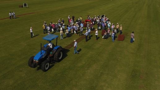 Dia de campo em Uberlândia