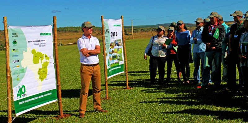 Tradicional dis de campo itograss em curvelo