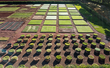 centro-de-pesquisa-itograss