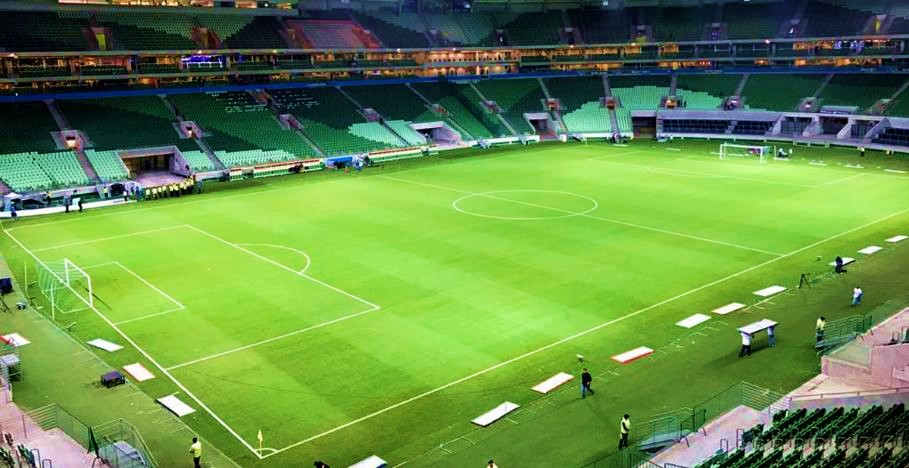 Vídeo mostra nova grama do Allianz Parque