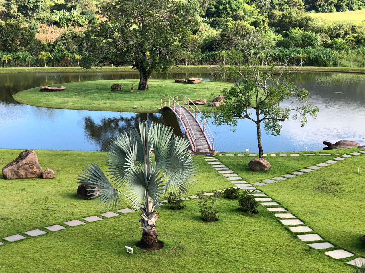 Grande jardim com o gramado verde ao redor de uma lago