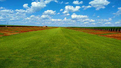Pista de Pouso com grama Itograss
