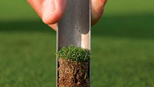 Performance gramado de Futebol Performance Campo de Futebol