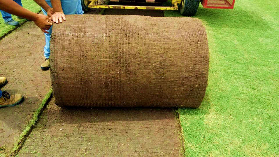 Plantio de grama - Arena do Flamengo