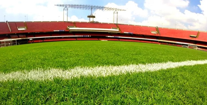 Novo gramado do Morumbi sobrevive à maratona de São Paulo e Palmeiras