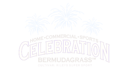 Grama Bermudas Celebration