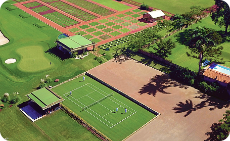 Quadras de tenis